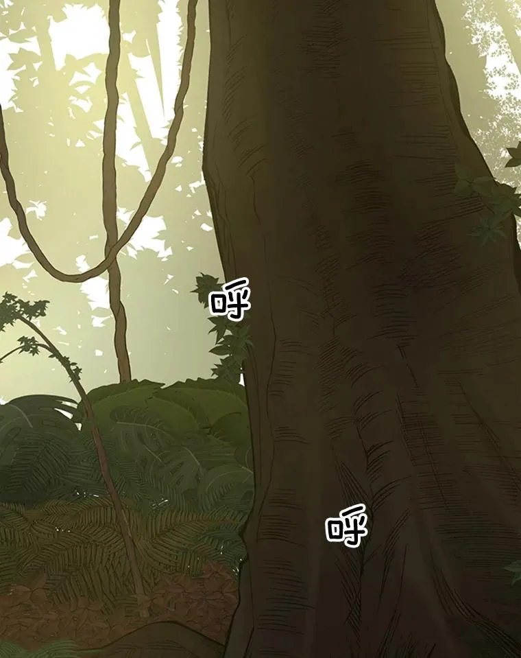 52.密林（1）111