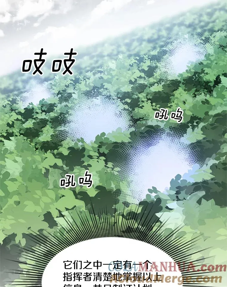 55.密林（4）48