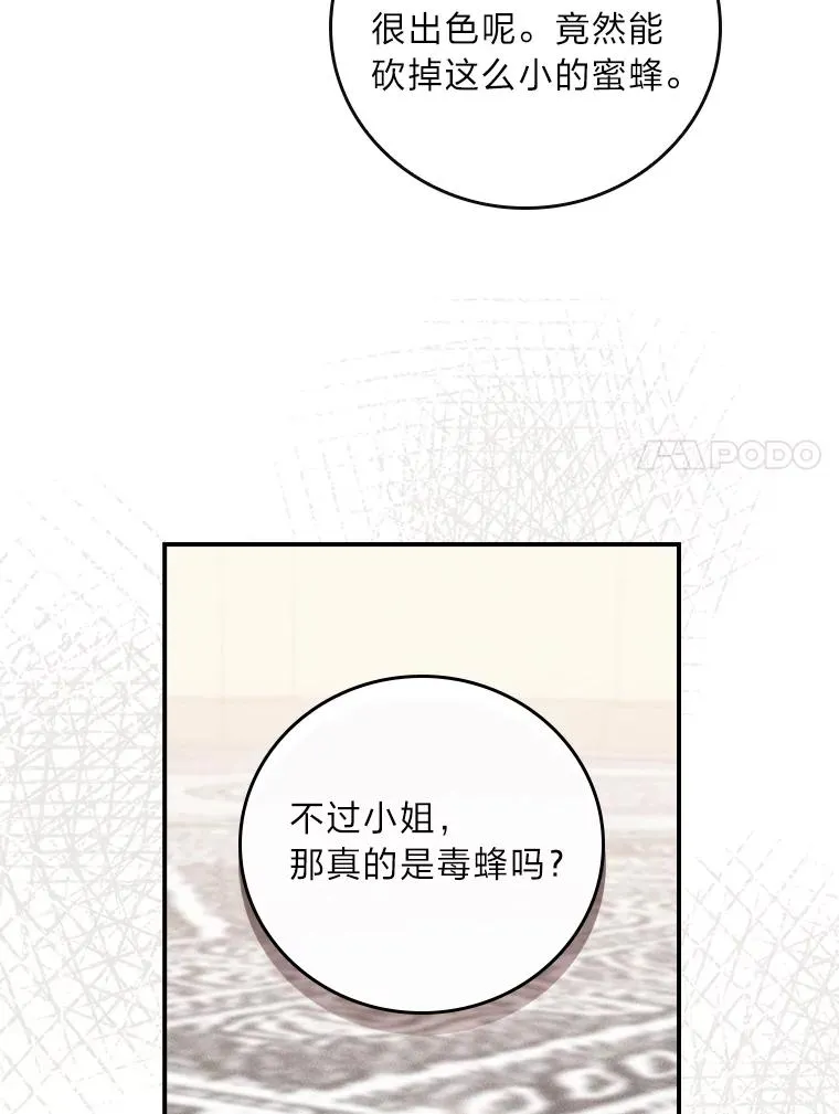 13.让出选择权6