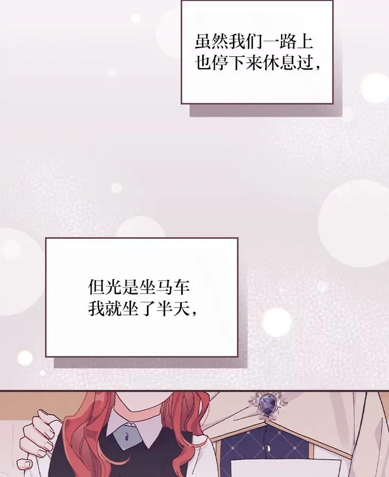 45.雷迪克领地54
