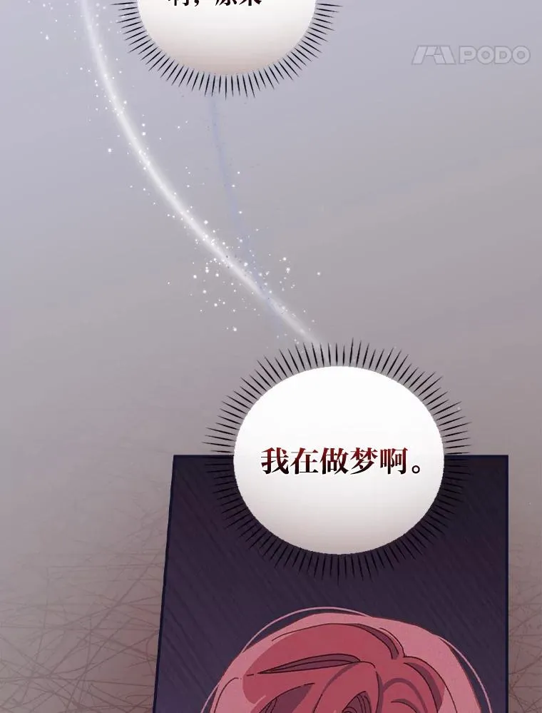 47.栩栩如生的梦境45