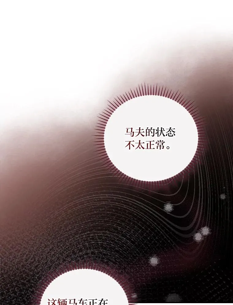 21.失控的马车45