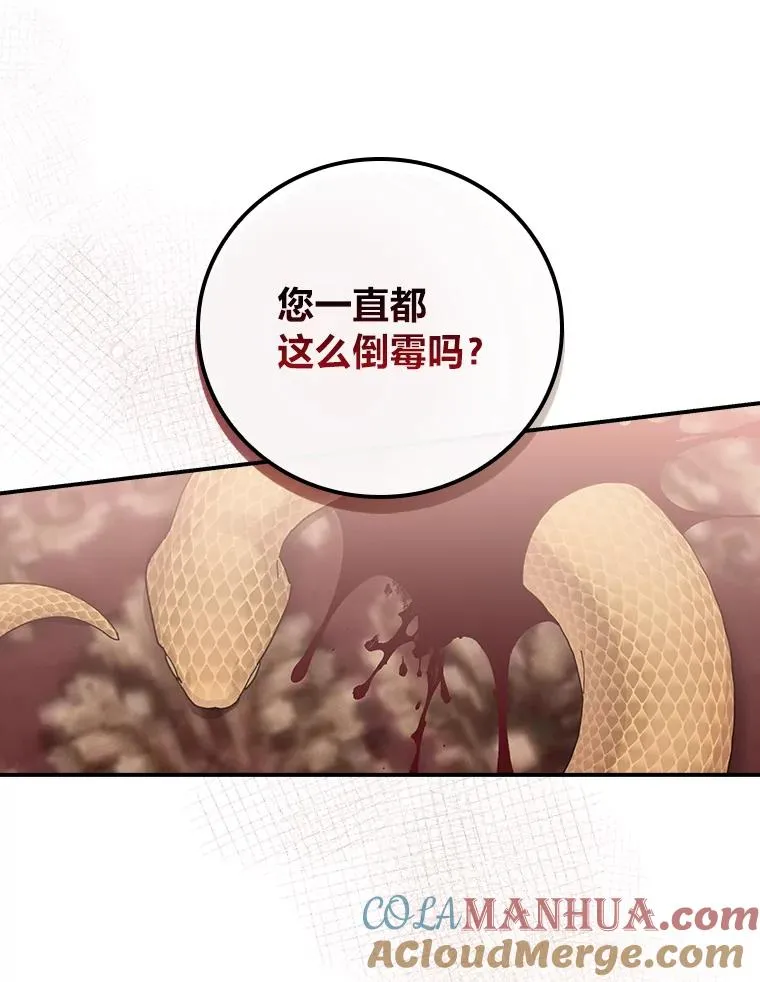 20.毒蛇危机28