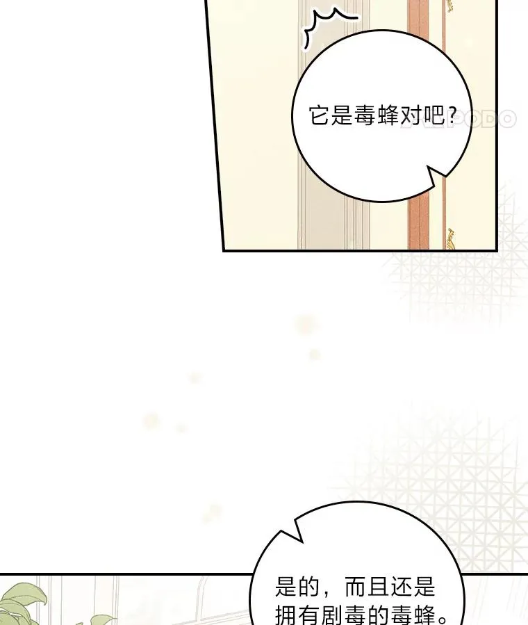 13.让出选择权13