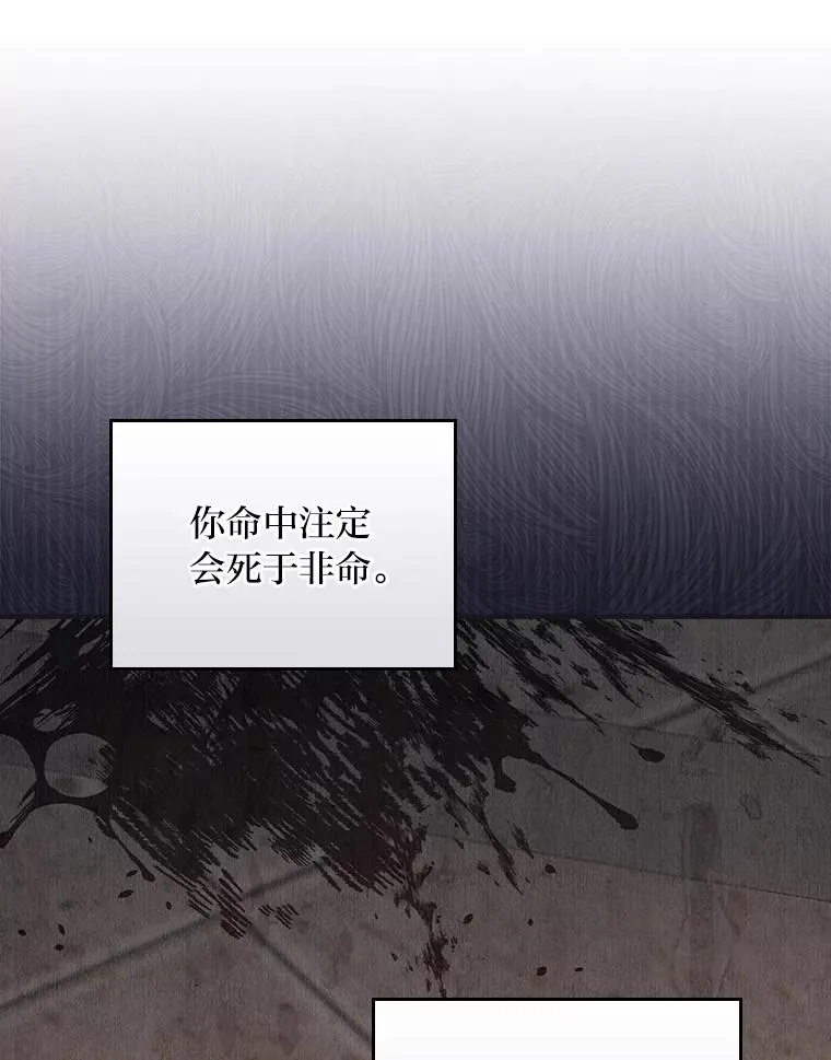 13.让出选择权95