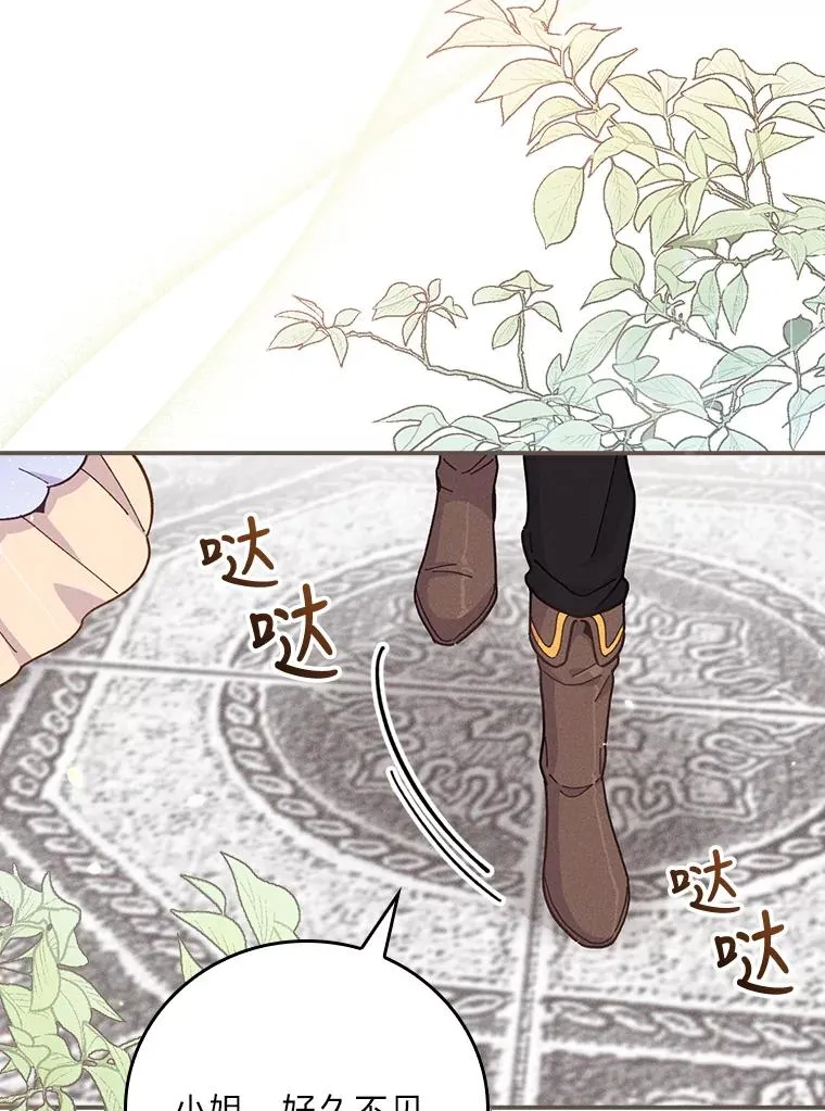 12.毒蜂危机95