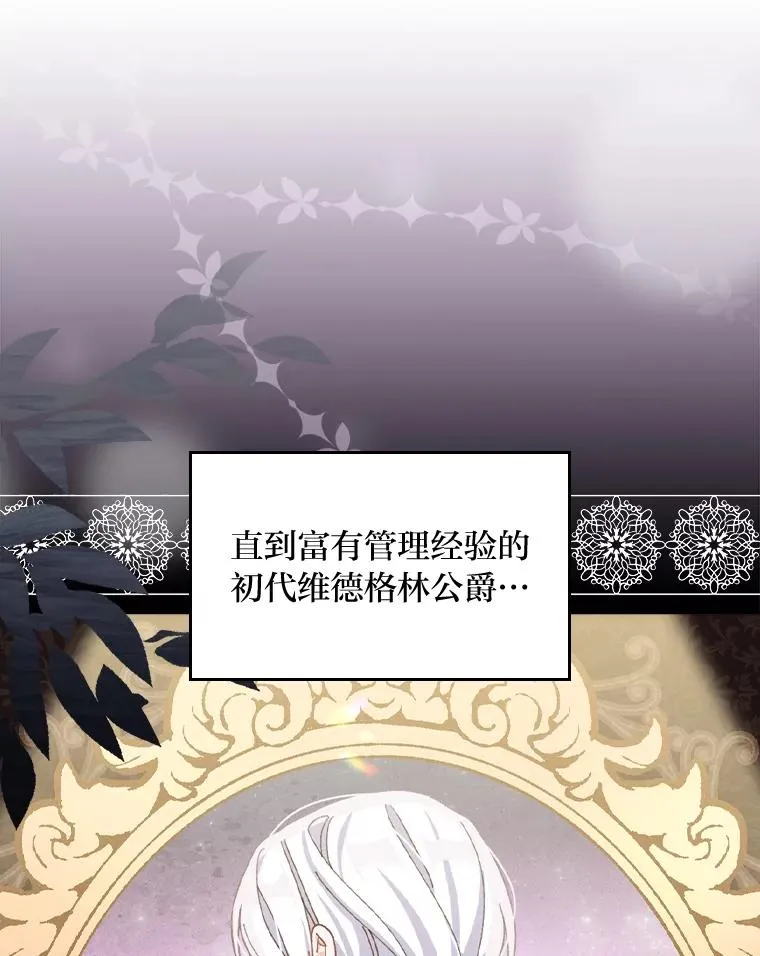 45.雷迪克领地26