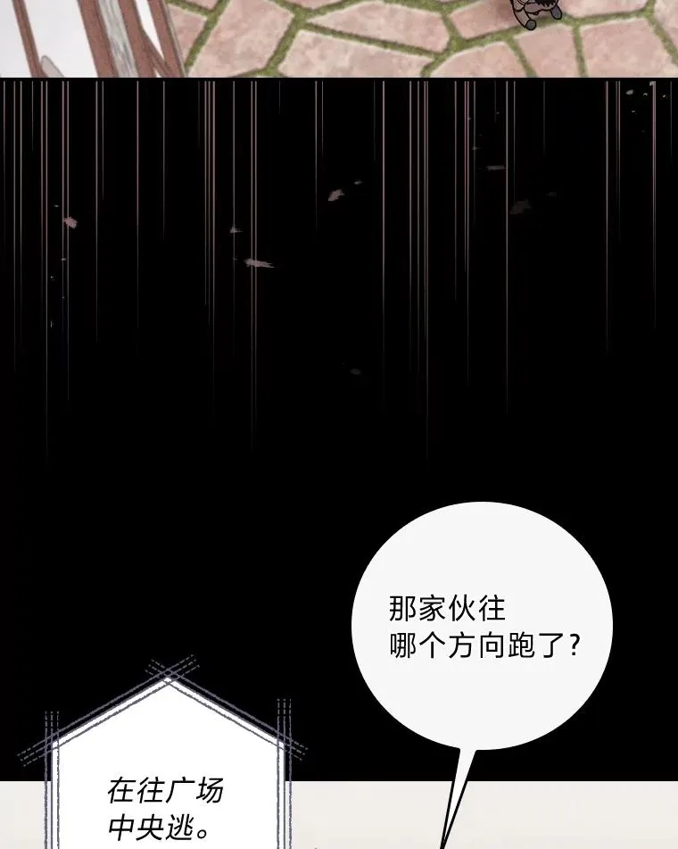 5.“梅开二度”103