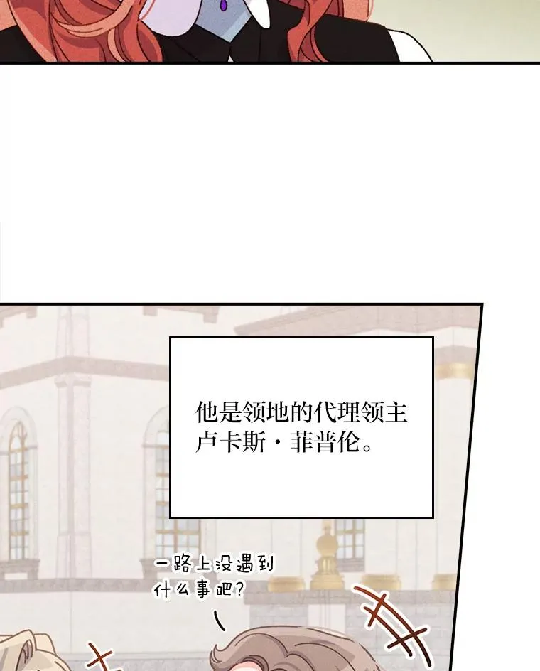 45.雷迪克领地43