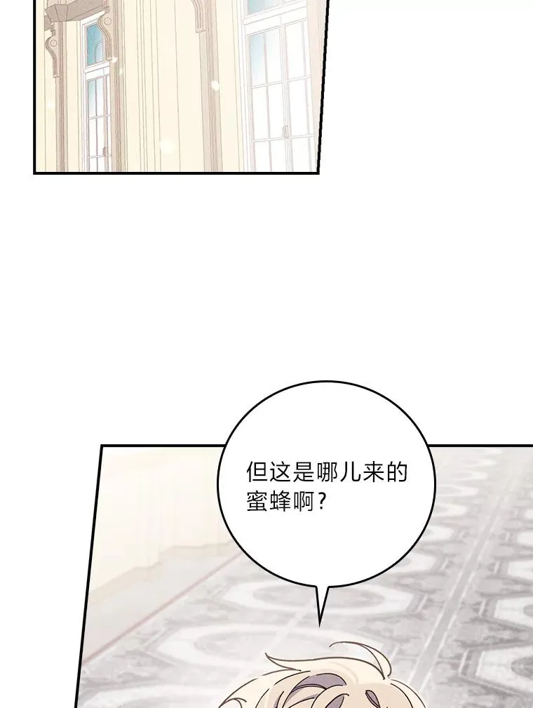 13.让出选择权1
