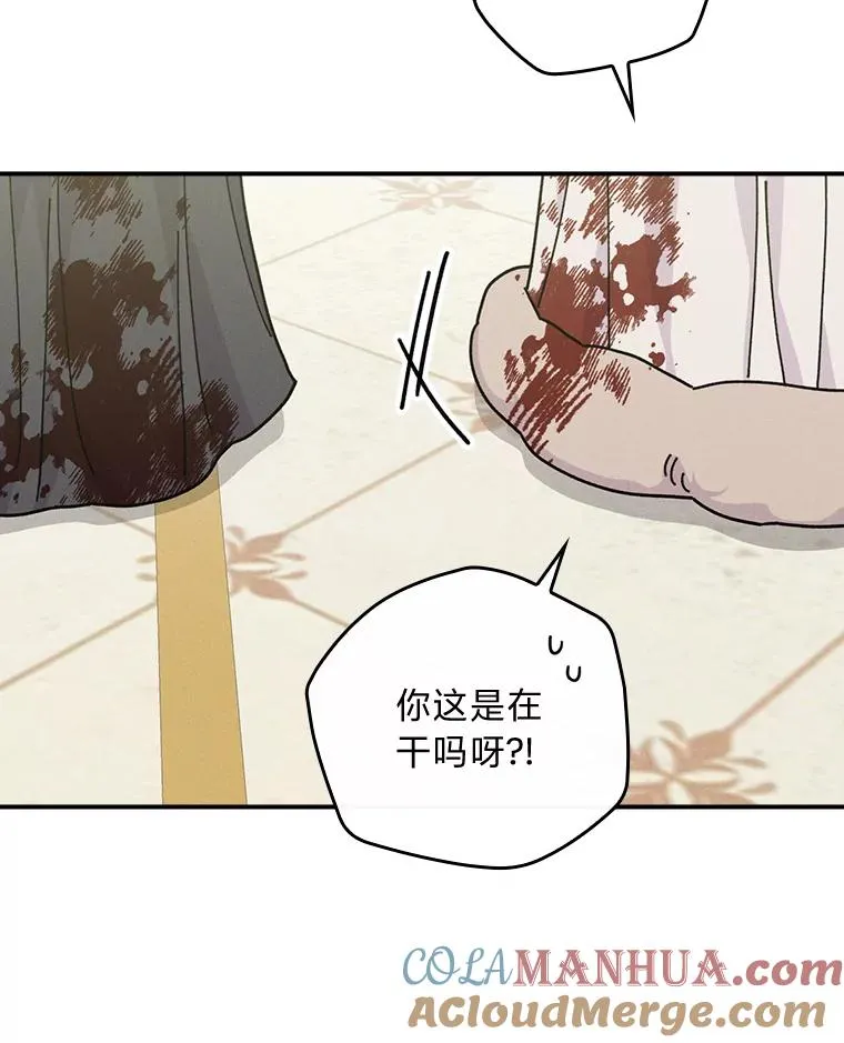 40.找茬68