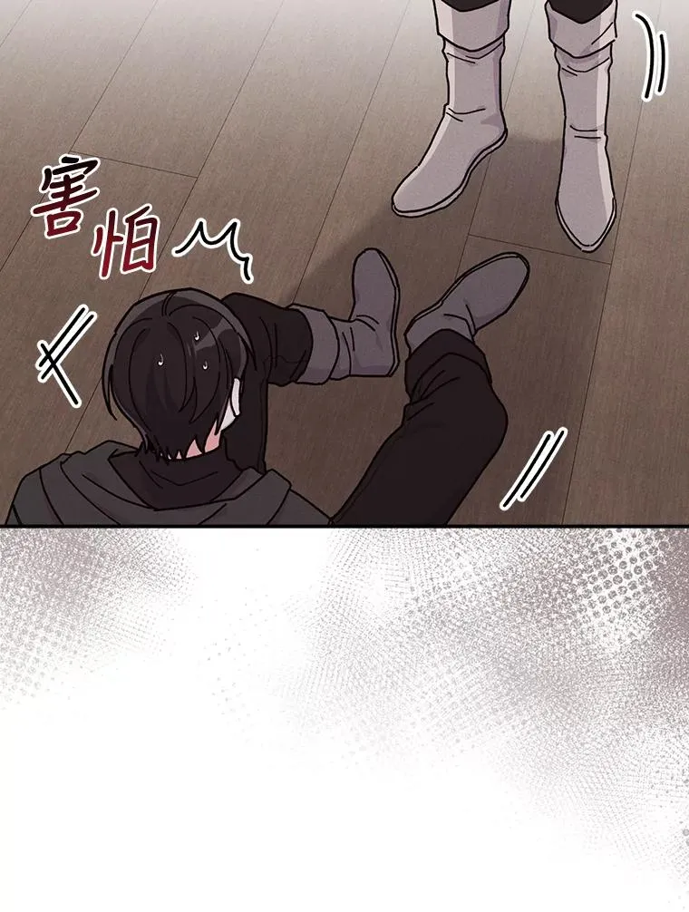 30.天降完美护卫33