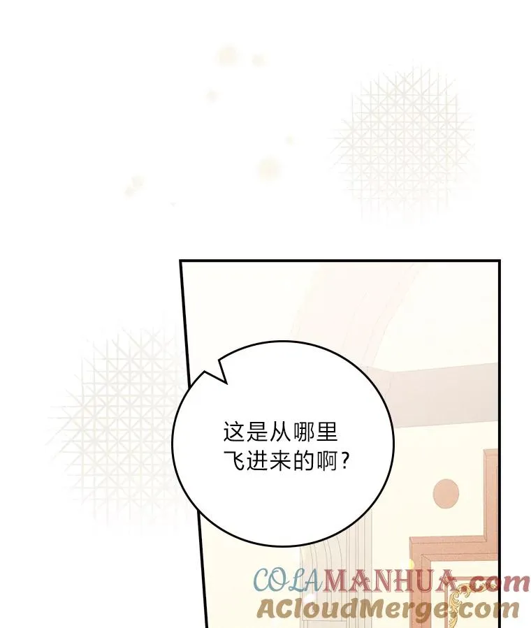 13.让出选择权12