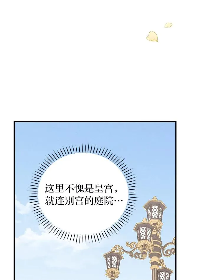 38.宴会前的偶遇49