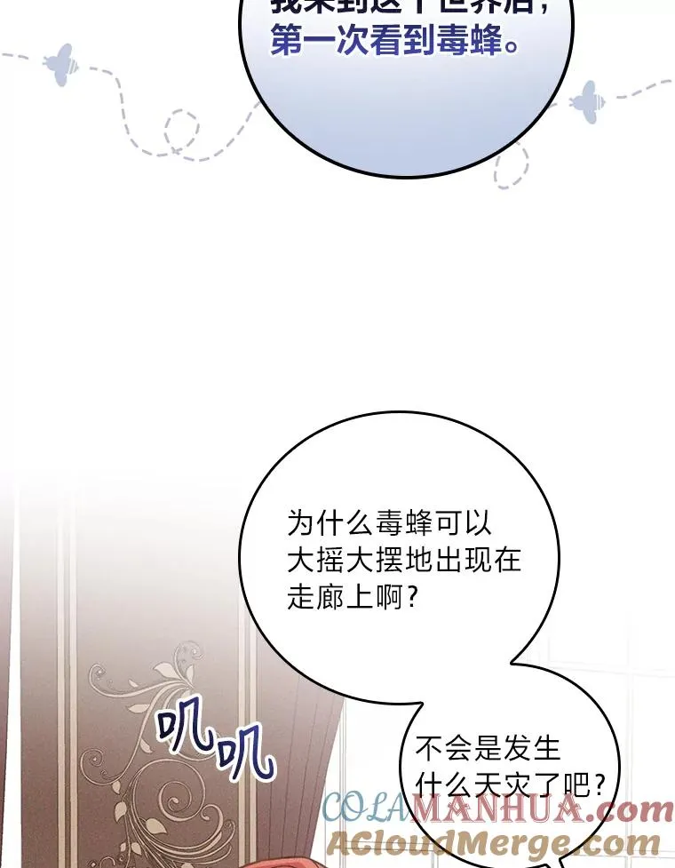 13.让出选择权72