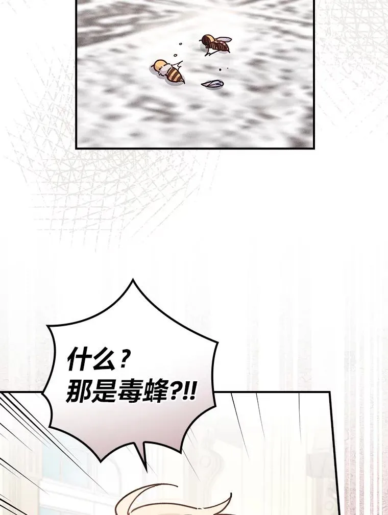 13.让出选择权7