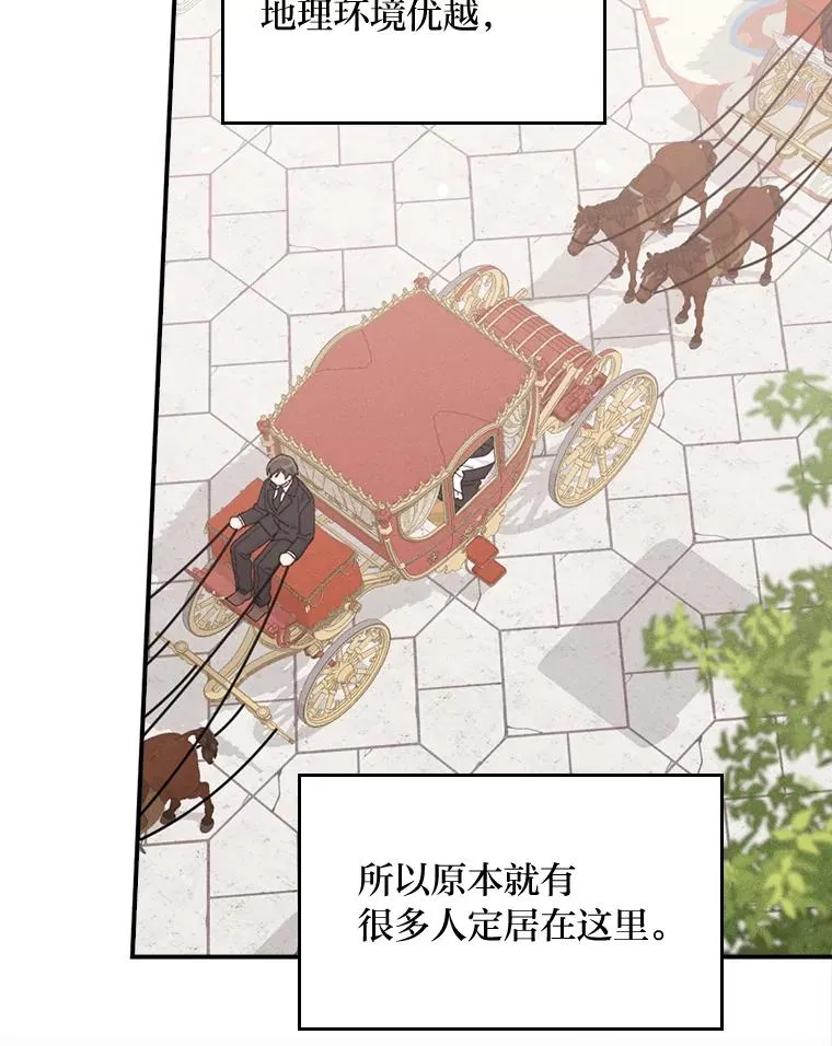 45.雷迪克领地25