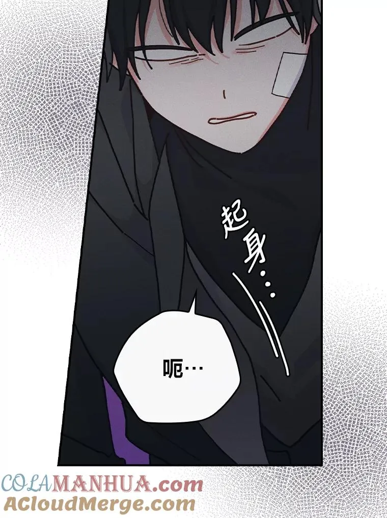 30.天降完美护卫12