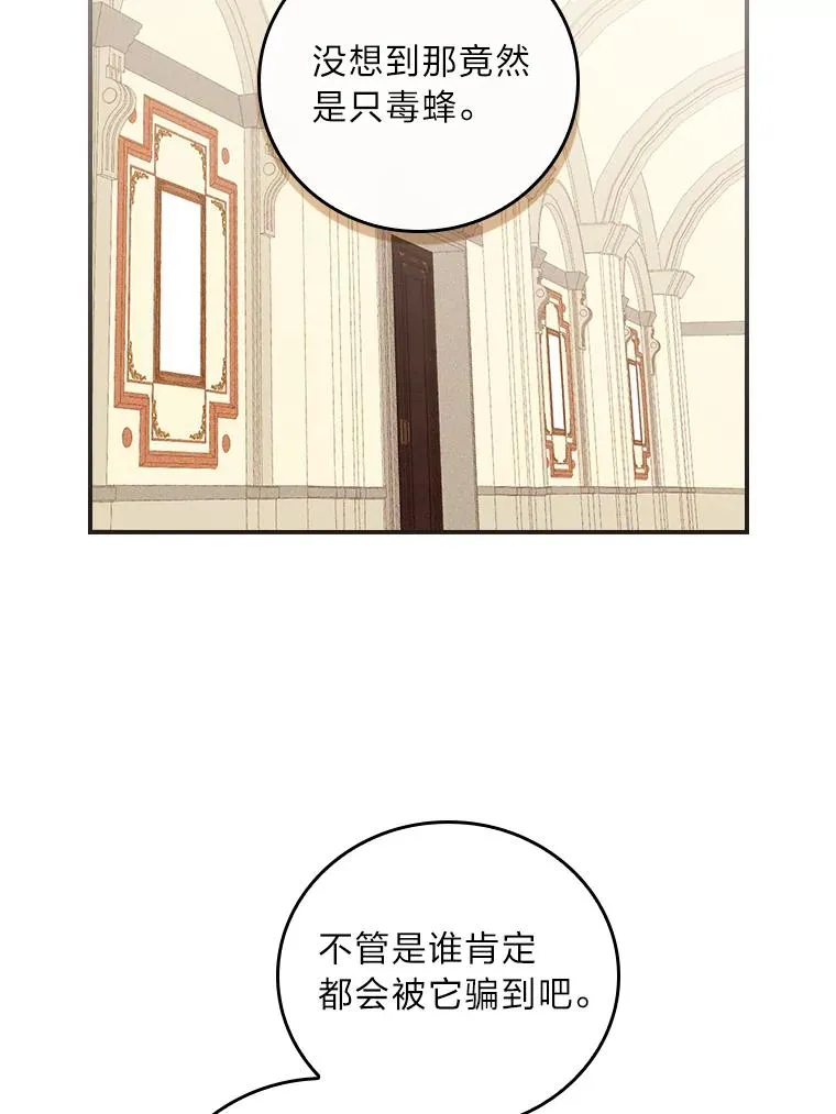 13.让出选择权33