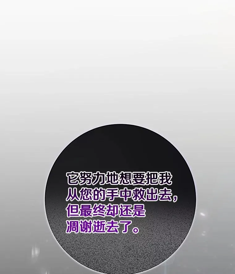 44.成人仪式118