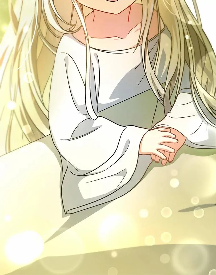 12.护卫骑士14