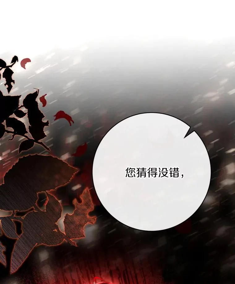 74.暗黑过往25
