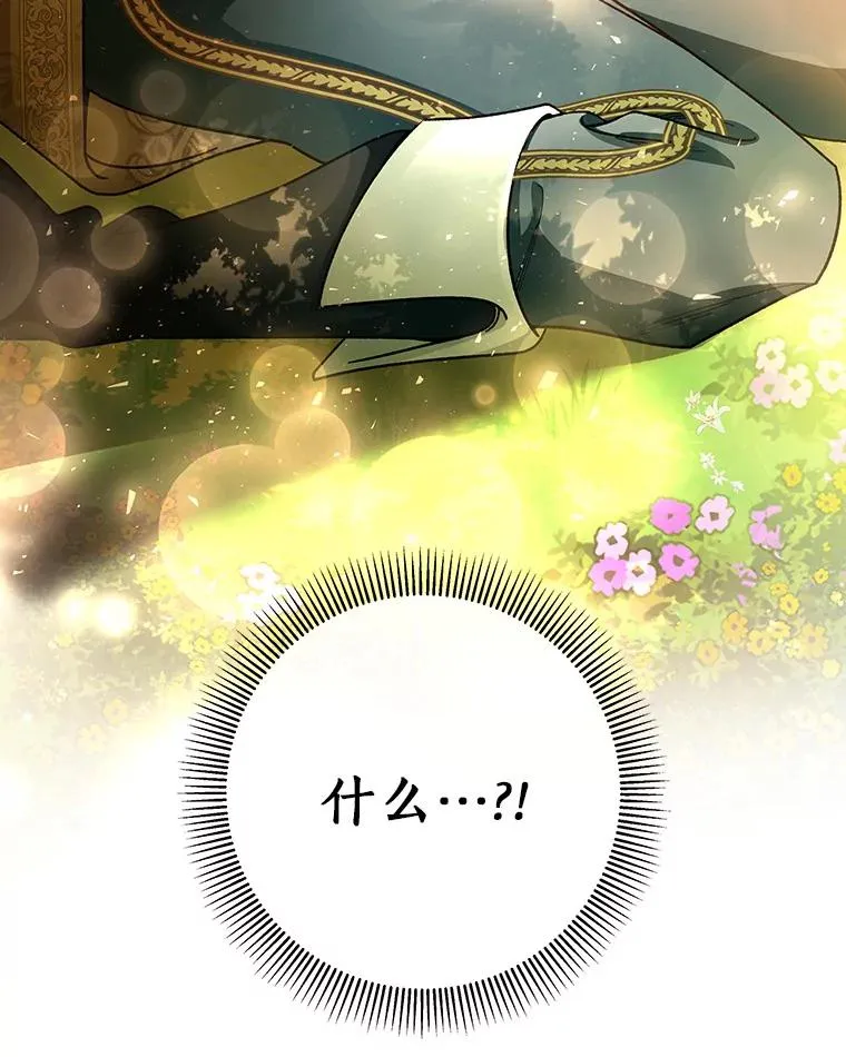 34.污秽虫133
