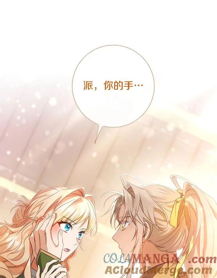 82.派的私心68