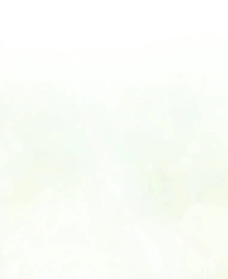 81.盖伊尔的笔记31