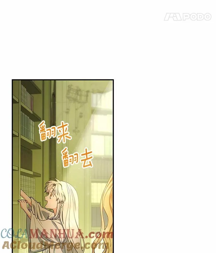 5.派24