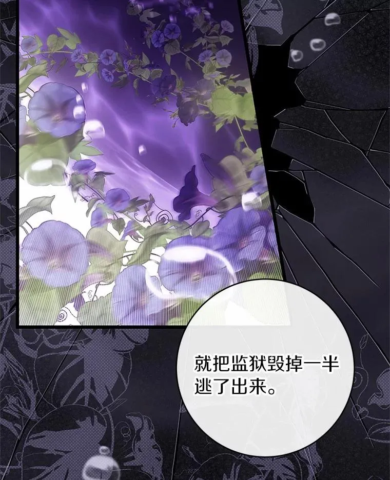 97.试验101