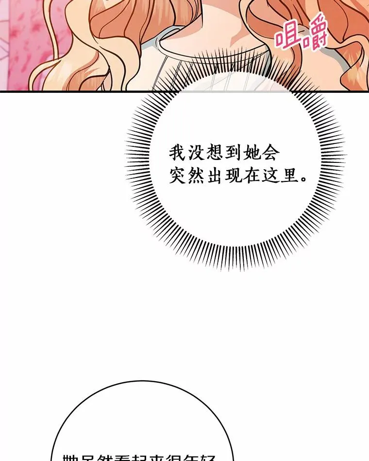 12.护卫骑士95