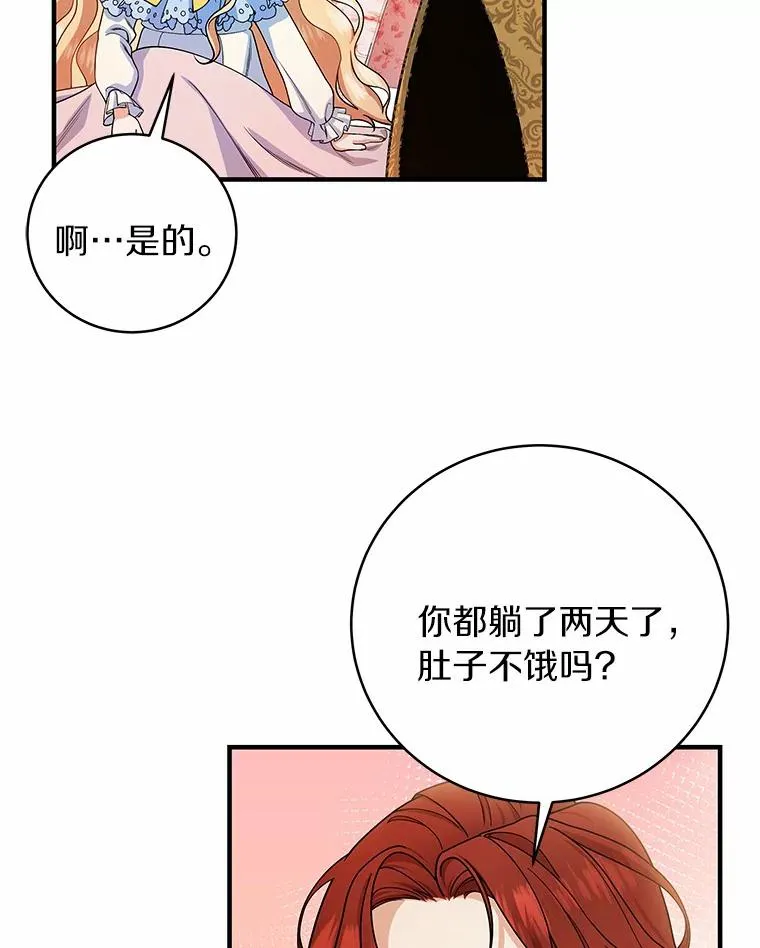 12.护卫骑士41