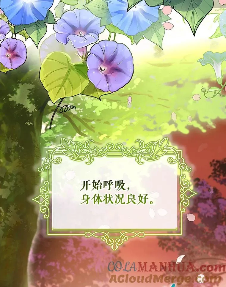 36.冰雪迷林40