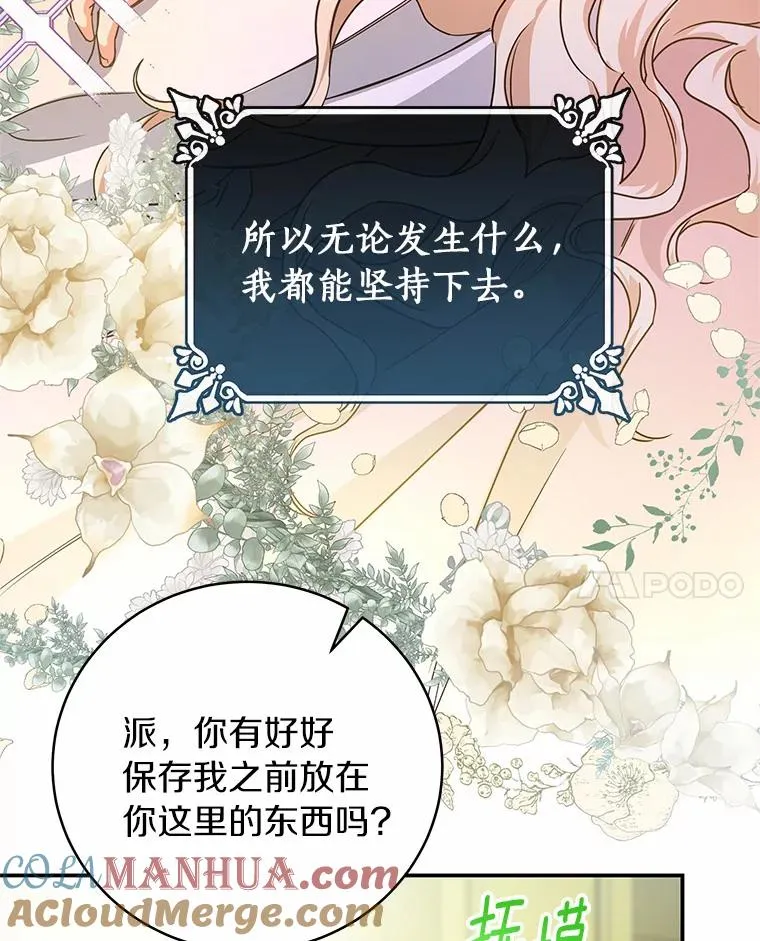 5.派20