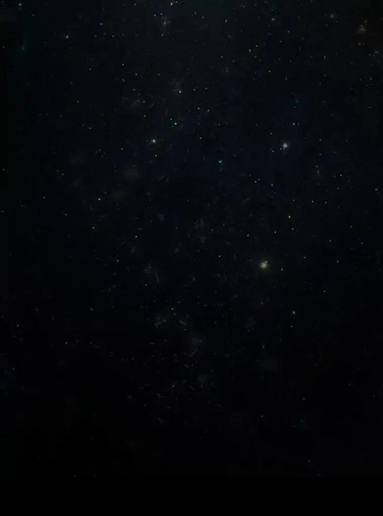 42.新的目标145