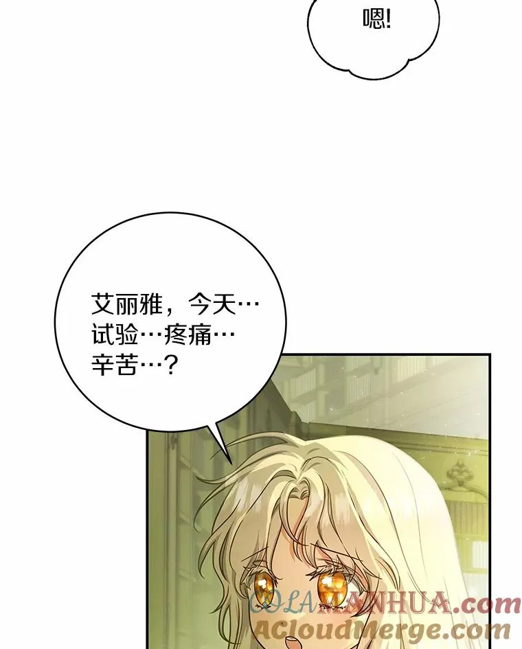 5.派4