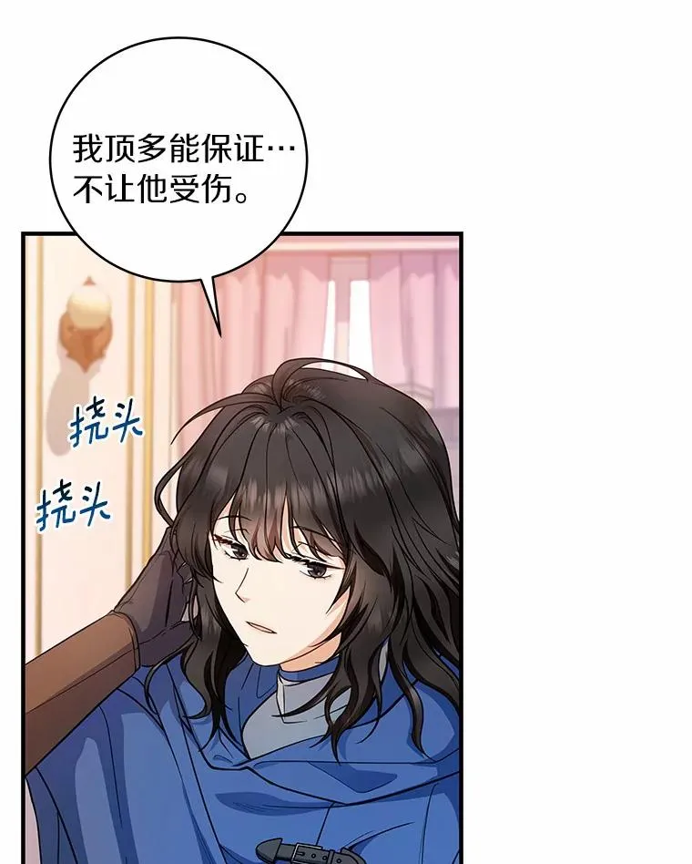 12.护卫骑士98
