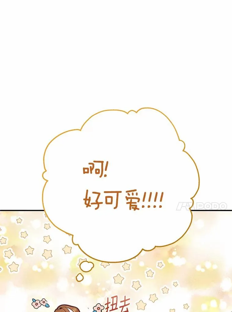 5.派41