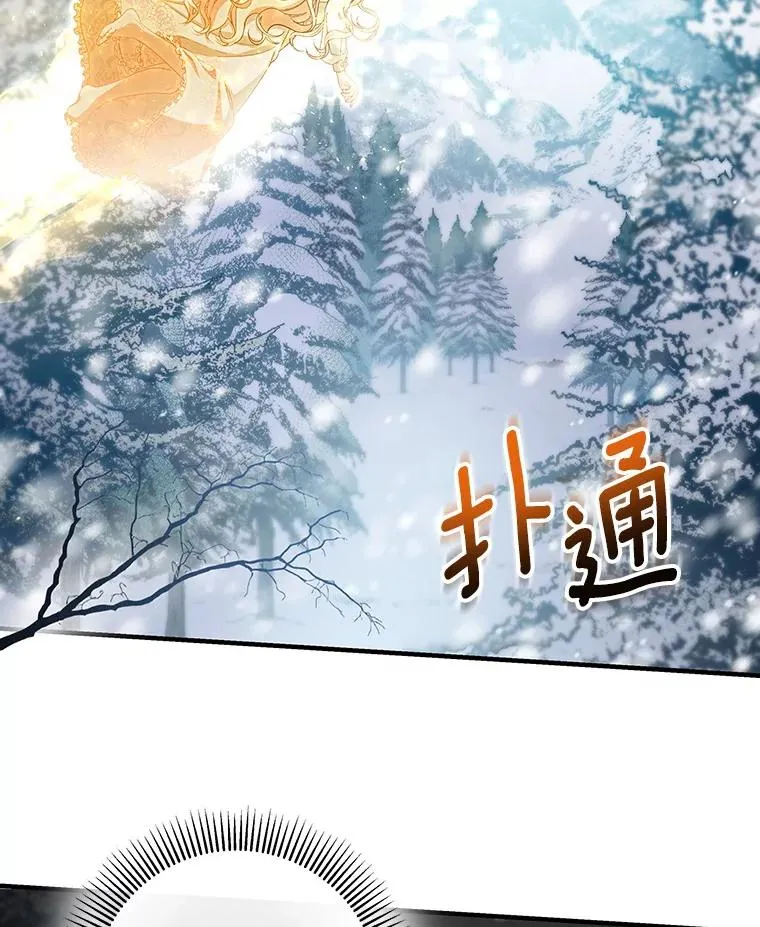 26.万年雪王冠117