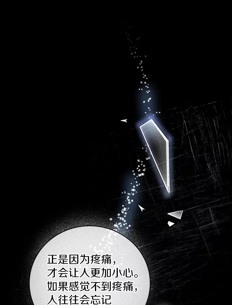 12.护卫骑士59