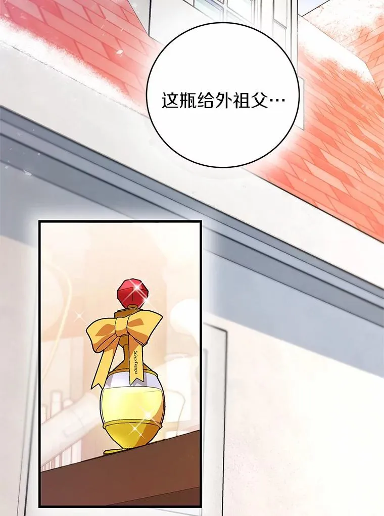12.护卫骑士118