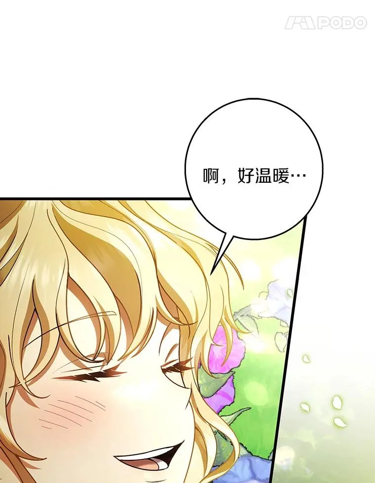 28.新绿之皿81