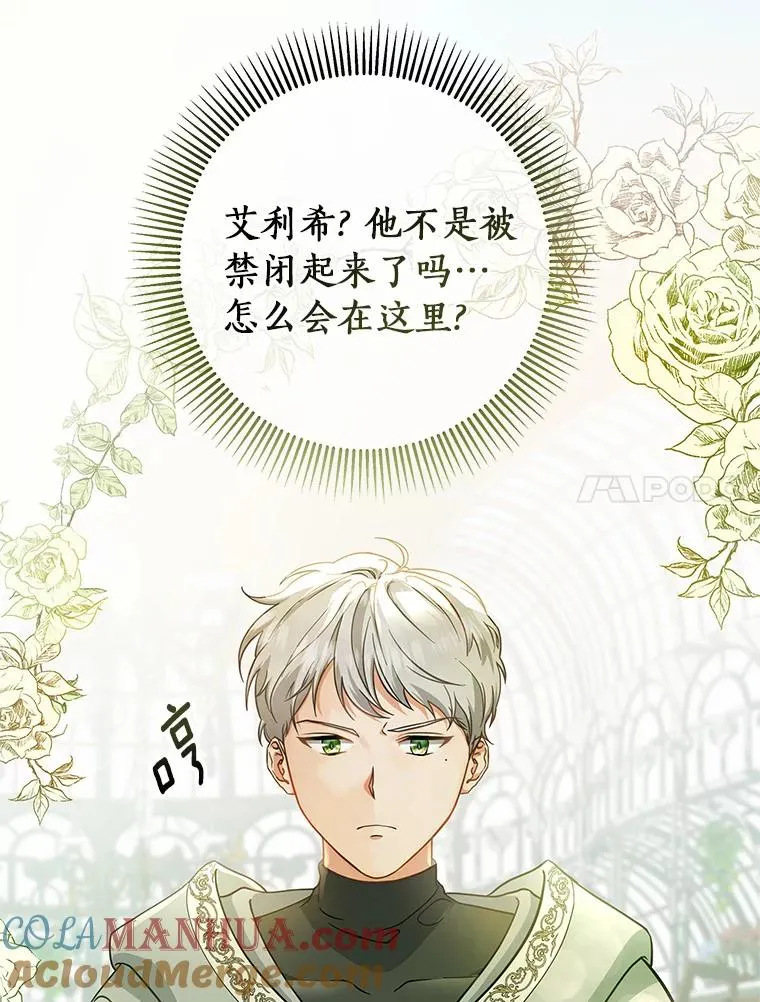11.强大的战士88