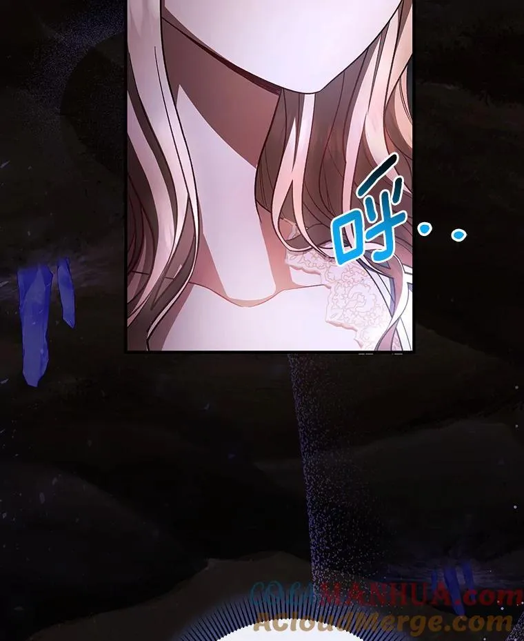 26.万年雪王冠92
