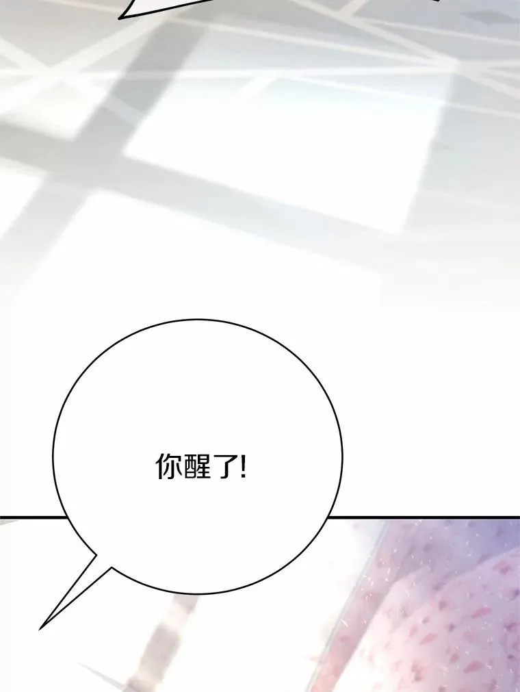 12.护卫骑士22