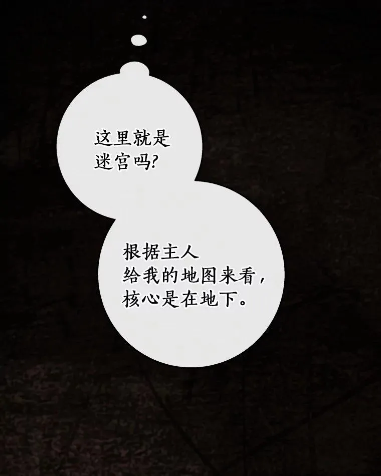 33.迷宫核心98