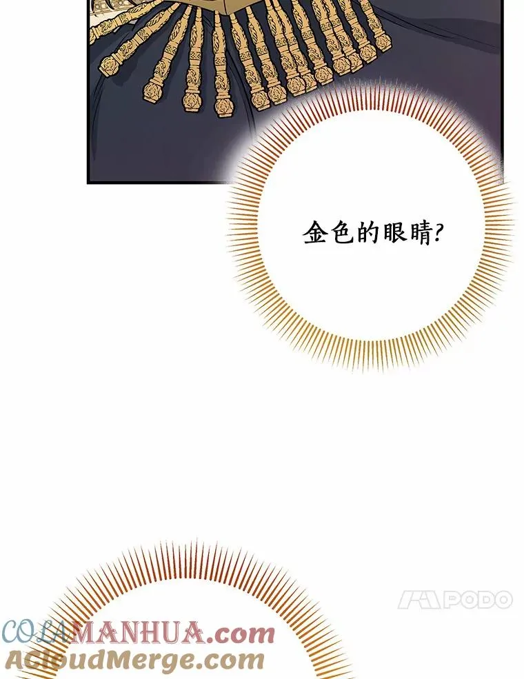 12.护卫骑士36