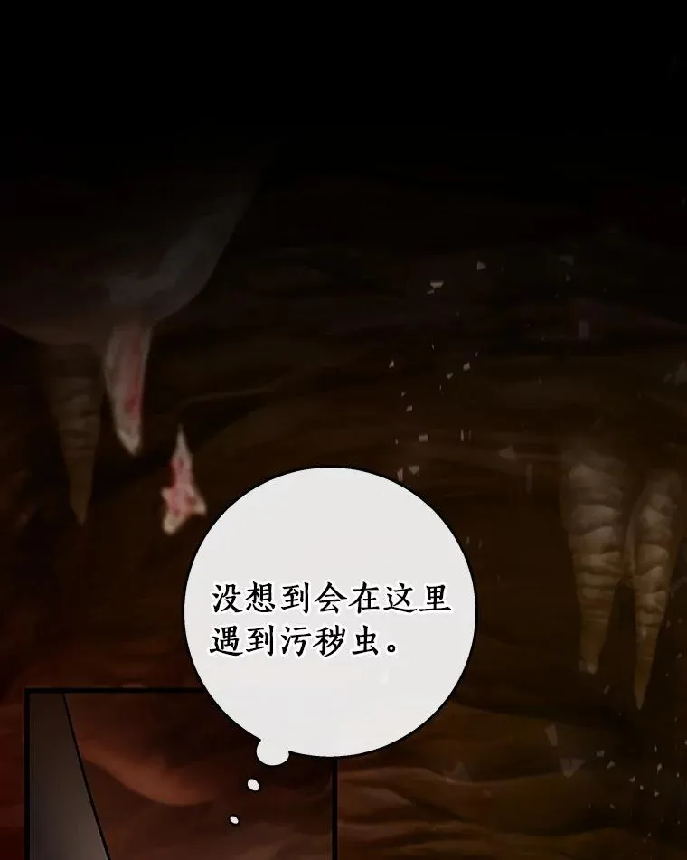 34.污秽虫5