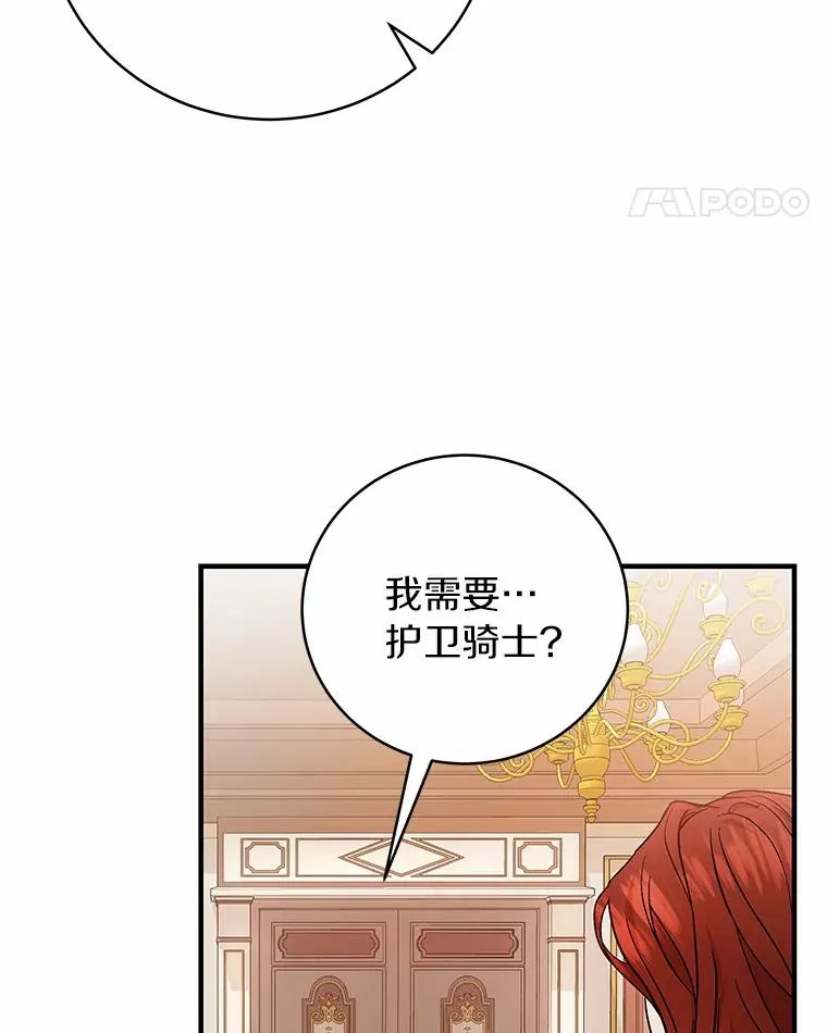 12.护卫骑士87